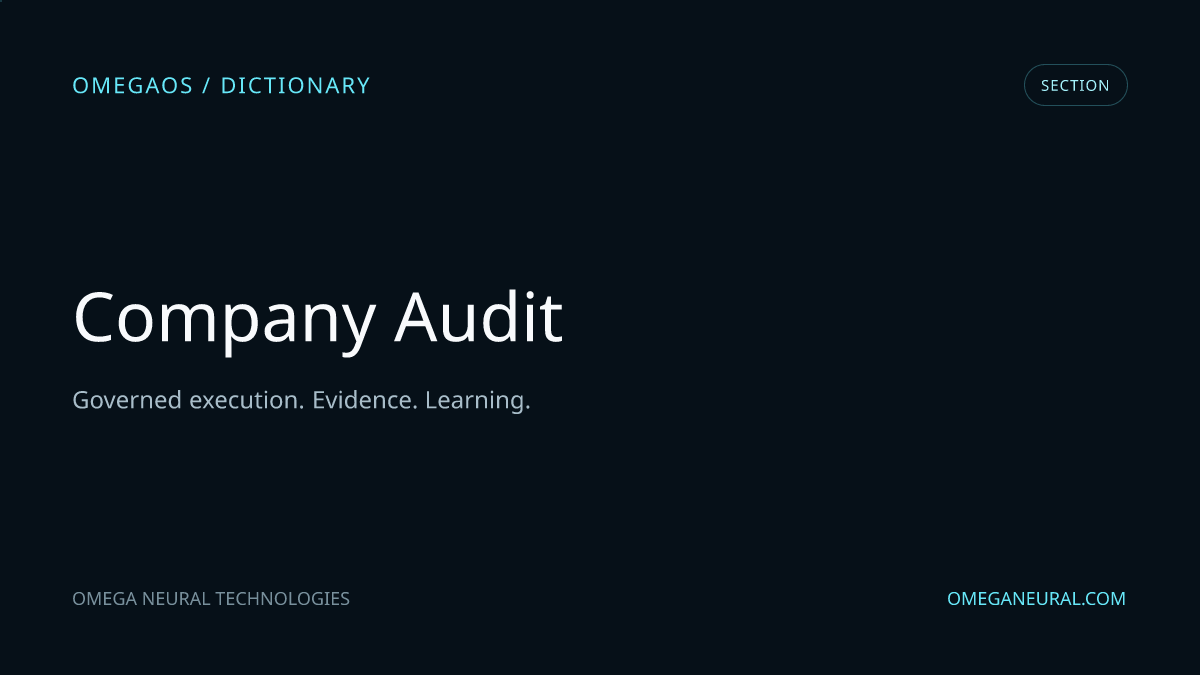 Branded OmegaOS editorial graphic for Company Audit, used while the reviewed section visual is prepared.